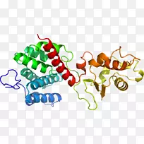 蔬菜艺术有机体剪贴画-蔬菜-空若网 蔬菜艺术有机体剪贴画-蔬菜-空若网