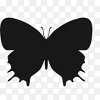 ������������ģ��-����-������