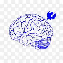 AGY医学-把它放在卡车上-空若网 AGY医学-把它放在卡车上-空若网