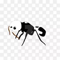 昆虫传粉器喙夹艺术昆虫-空若网 昆虫传粉器喙夹艺术昆虫-空若网