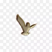 ๶¯Îï-½ð¸ë-¿ÕÈôÍø ๶¯Îï-½ð¸ë-¿ÕÈôÍø