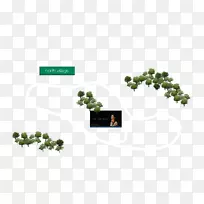 树型树-空若网 树型树-空若网