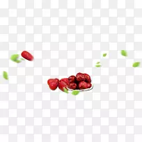 枣食品设计师-枣-空若网 枣食品设计师-枣-空若网