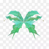 蛾叶对称树-空若网 蛾叶对称树-空若网