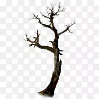 树枝万圣节树枝-空若网 树枝万圣节树枝-空若网