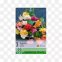 花卉设计切花花束-空若网 花卉设计切花花束-空若网