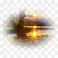 博客日落树-湖面日出-空若网 博客日落树-湖面日出-空若网