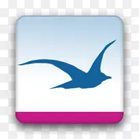 海洋字体技术-空若网 海洋字体技术-空若网