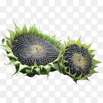 ���տ�������ͨ���տ����ɹ���Դ��-�ж���-������