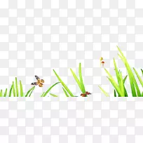 绿色下载壁纸-草-空若网 绿色下载壁纸-草-空若网