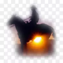 马博客电子邮件狗12月28日-马-空若网 马博客电子邮件狗12月28日-马-空若网