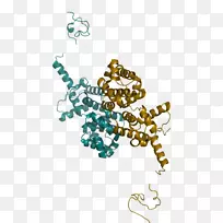 绿松石体首饰有机体字体首饰-空若网 绿松石体首饰有机体字体首饰-空若网