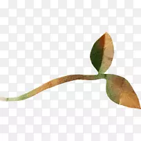 Ë®²Ê»-»ÇïÒ¶-¿ÕÈôÍø Ë®²Ê»-»ÇïÒ¶-¿ÕÈôÍø