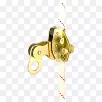 动物-空若网 动物-空若网