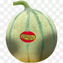 ��¶��ϣ���ϣ�����ϣ�ʥ�����ˣ����-������