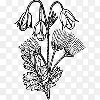 高草原画爱德华兹高原植物-空若网 高草原画爱德华兹高原植物-空若网