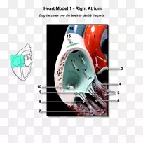 CT图像设计神经外科.设计-空若网 CT图像设计神经外科.设计-空若网