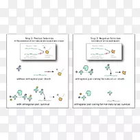 ���絰���ʶ����Ʒ��-������