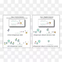 作者蛋清疫苗有机体专栏作家-人-空若网 作者蛋清疫苗有机体专栏作家-人-空若网