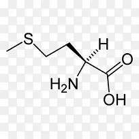 天冬氨酸必需氨基酸胺-空若网 天冬氨酸必需氨基酸胺-空若网