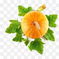 南瓜食品摄影-免费-南瓜顶部视图-空若网 南瓜食品摄影-免费-南瓜顶部视图-空若网