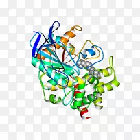 人体珠宝系列剪贴画.珠宝-空若网 人体珠宝系列剪贴画.珠宝-空若网