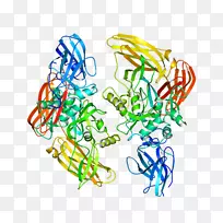 �ߵ������������-������