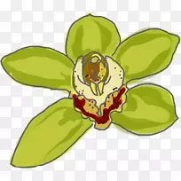 昆虫叶花瓣植物茎夹艺术-昆虫-空若网 昆虫叶花瓣植物茎夹艺术-昆虫-空若网