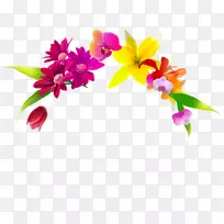 花卉设计切花花盆植物.设计-空若网 花卉设计切花花盆植物.设计-空若网