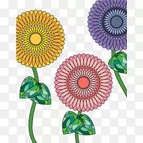 普通向日葵-空若网 普通向日葵-空若网