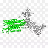 ���鱦����������-������