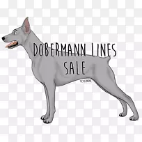 狗繁殖被遗弃的狗鼻子-狗-空若网 狗繁殖被遗弃的狗鼻子-狗-空若网