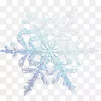 雪花对称线型-雪花-空若网 雪花对称线型-雪花-空若网