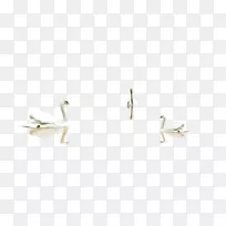 人体穿孔珠宝图案-天鹅-空若网 人体穿孔珠宝图案-天鹅-空若网