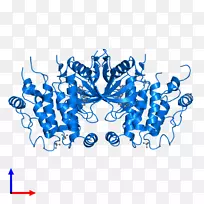 ��־�ߵ�������-������