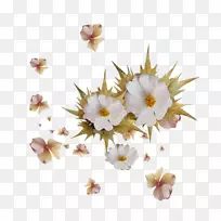 开花植物-植物-空若网 开花植物-植物-空若网