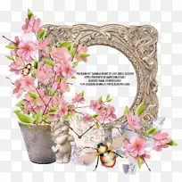 花卉设计画框花草夏令营-空若网 花卉设计画框花草夏令营-空若网