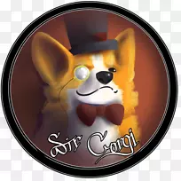 狗鼻子-狗-空若网 狗鼻子-狗-空若网