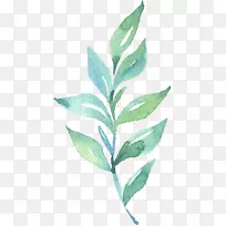 Ҷˮ�ʻ�.ˮ�ʻ�Ҷ-������