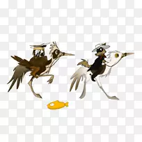 喙水鸟-空若网 喙水鸟-空若网