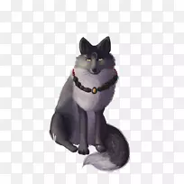 胡须,家用短毛猫鼻子小猫-空若网 胡须,家用短毛猫鼻子小猫-空若网