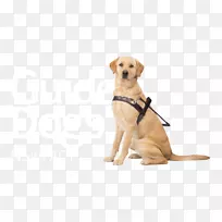 ��äȮά������С����äȮЭ�ᵼäȮ-������