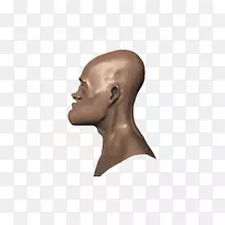 鼻子、面颊、下巴、额头、下巴-鼻子-空若网 鼻子、面颊、下巴、额头、下巴-鼻子-空若网