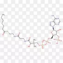 直线点角线-空若网 直线点角线-空若网