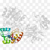 树木剪贴画-树-空若网 树木剪贴画-树-空若网