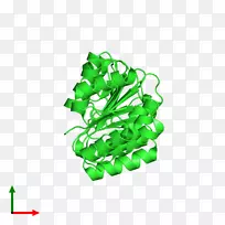 ��-��-������