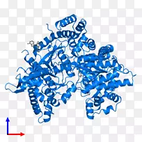 线点剪贴画-线-空若网 线点剪贴画-线-空若网