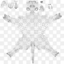 白海星图案-海星-空若网 白海星图案-海星-空若网