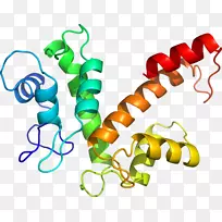 人体珠宝有机体线条剪贴画.珠宝-空若网 人体珠宝有机体线条剪贴画.珠宝-空若网