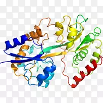 生物线动物剪贴画线-空若网 生物线动物剪贴画线-空若网